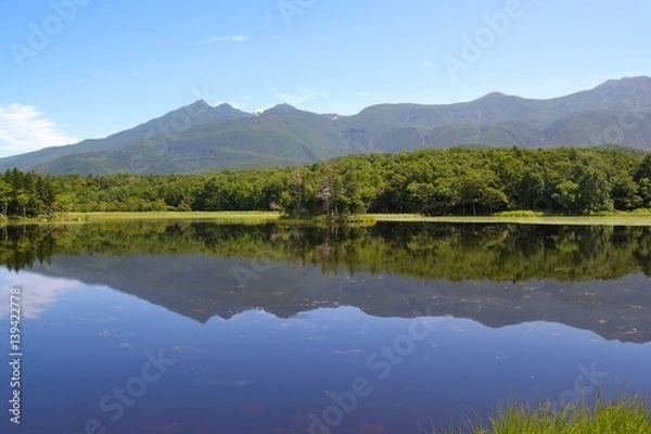 Fototapeta 夏の知床五湖