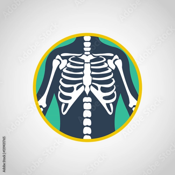 Obraz chest x-ray vector logo icon design