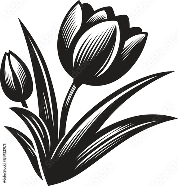 Obraz Tulip stylized vector