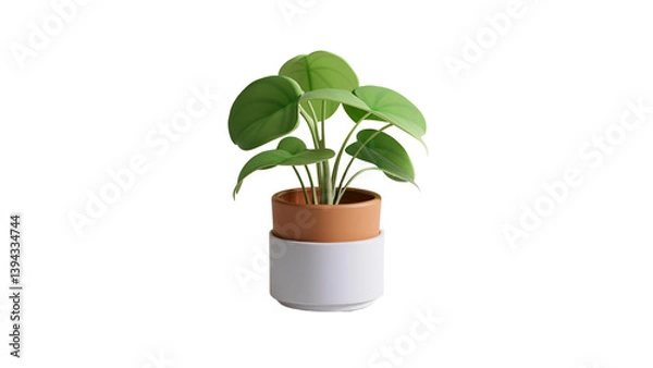Obraz A leafy potted plant bringing freshness and calm to indoor or lifestyle design themes.