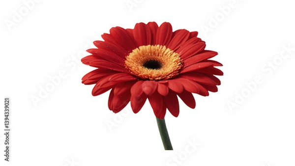 Obraz A bold crimson daisy graphic ideal for floral designs or vibrant decorative themes.