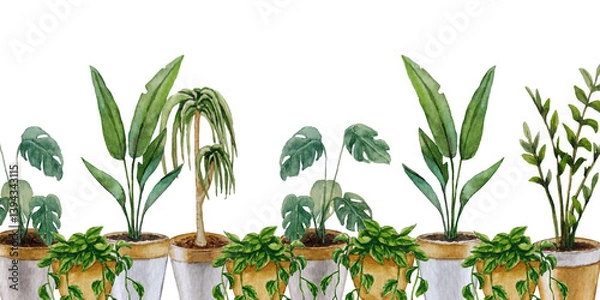 Obraz Banner of indoor plants. Watercolor illustration. For design, backgrounds