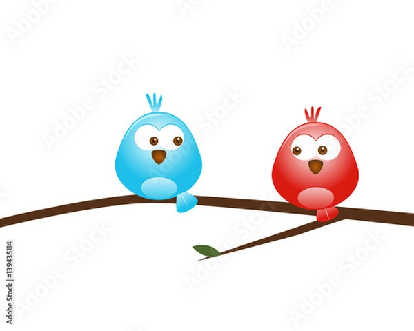 Obraz Blue and red bird