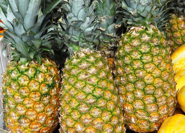 Fototapeta pinapples