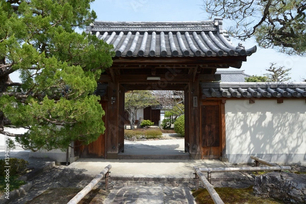 Fototapeta 相国寺　慈雲院　山門　京都市上京区