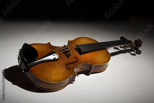 Obraz Violin on White