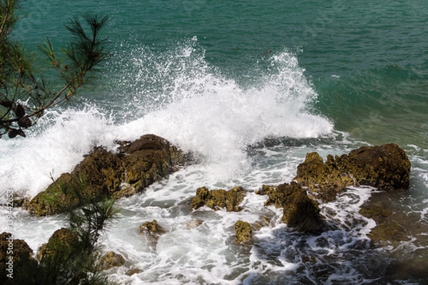 Fototapeta Top view to the foamy waves breaking on rocks at clear sunny day in croatian seashore with pine tree on foreground
