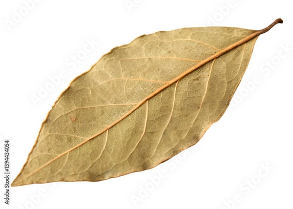 Obraz Dried bay leaf isolated on a transparent background.
