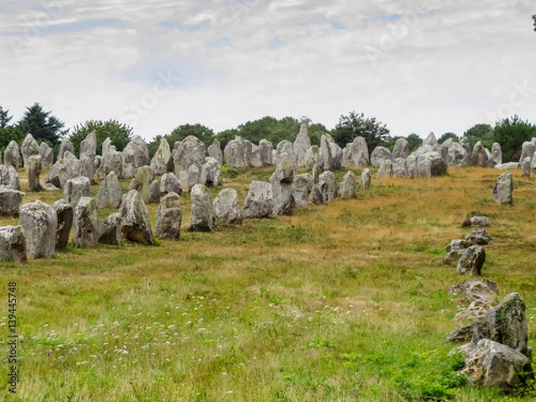 Fototapeta Carnac Stone Fields