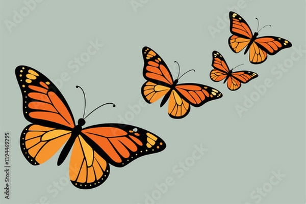 Obraz butterfly on a white background