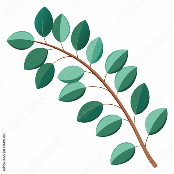 Fototapeta curved eucalyptus branch with round
