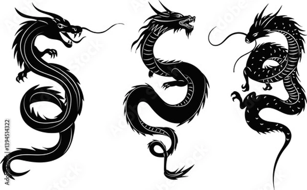 Obraz silhouette chinese dragon on white background, vector