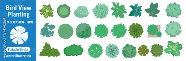 Obraz 上から見た植栽・植物　ベクターイラストセット (編集可能/シンプル/デザイン)