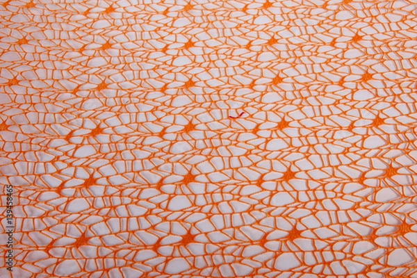 Fototapeta texture mesh genuine