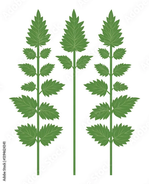 Fototapeta Symmetrical Green Leaves Clean Minimalist Botanical Illustration. AI Generated