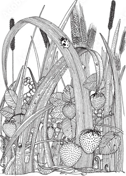 Obraz black and white melov