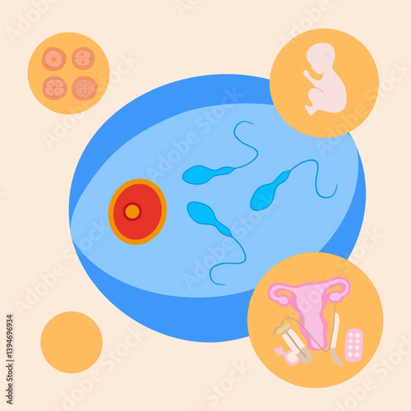 Fototapeta Artificial insemination. In vitro fertilization. Egg freezing. Sperm donation. Egg donation. Sperm freezing. Fertility clinic. Vector isolated illustration of fertilization process.