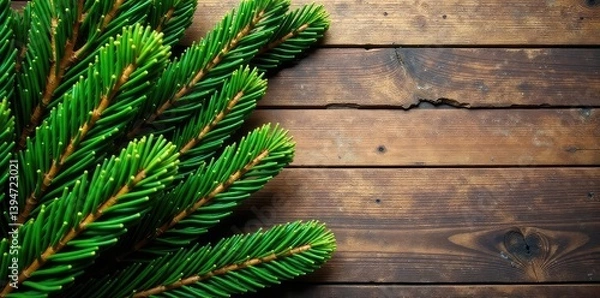 Fototapeta Branches of fir tree on rustic wooden background, fir tree, twigs, isolated branches