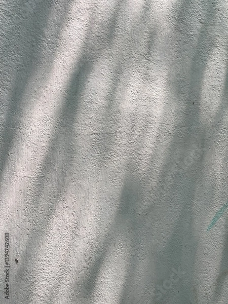 Obraz Tree shadow on the wall with copy space.