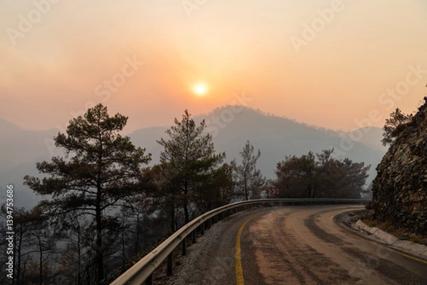 Obraz Sun shining through a cloud of smoke on Icmeler-Hisaronu road, following forest fires of July-August 2021 in Marmaris resort town of Turkey