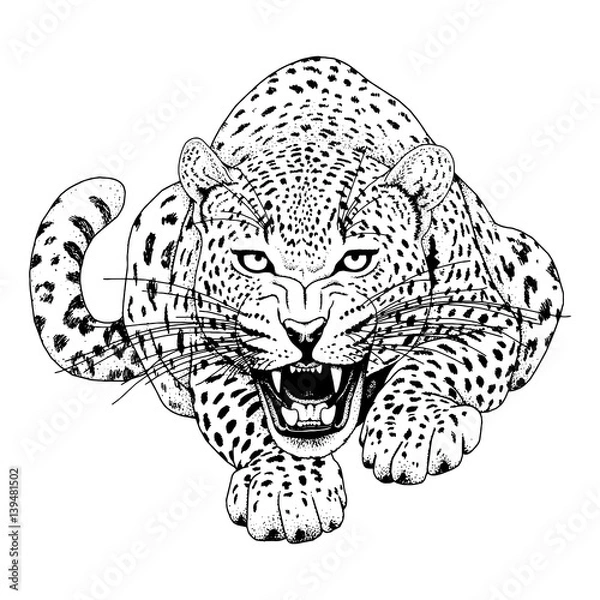 Obraz Leopard face tattoo ,Vector illustration, print