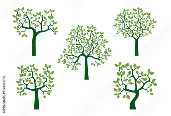 Obraz Set green Young Trees. Vector Illustration.