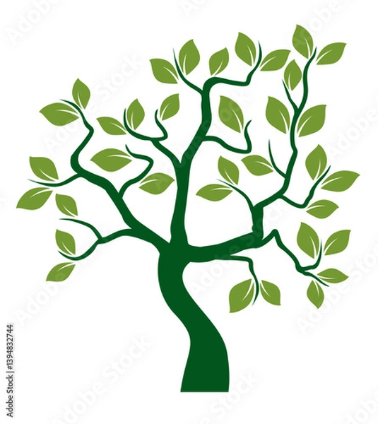 Obraz Shape of green Tree with Leaves and Roots. Vector outline Illustration.