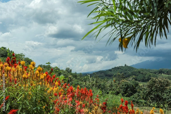 Obraz Colorful flower garden with lush greenery and mountain backdrop. High-angle view of a vibrant flower garden with various colorful flowers arranged in intricate patterns.