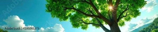 Fototapeta Tree with branches stretching towards the sky, green, sky