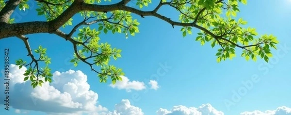 Fototapeta Tree with delicate branches and leaves against a blue sky, clouds, leafy branches
