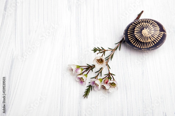 Fototapeta White flowers with decorated Easter egg on a white background. Copy space.