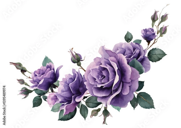 Fototapeta Vector watercolor flower border,Spring purple roses flower frame with leaves, Cards,invitations,decorative border wreath.Wedding, mother's day,valentine's day,Women's Day,friendly