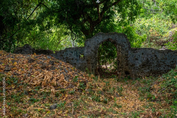Obraz Ruiny Gedi w mieście Gede - Stanowisko archeologiczne w Kenii, obejmujące ruiny starożytnego miasta muzułmańskiego ludu Suahili z XIII–XVII wieku założonego przez bogatych Arabów. Afryka