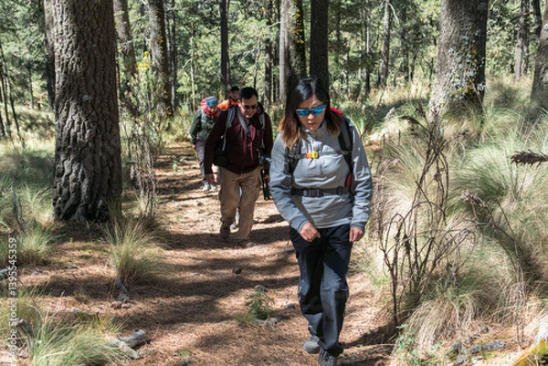 Obraz Hikers walking in the forest trail near apatlaco waterfalls, iztaccihuatl and popocatepetl volcanoes