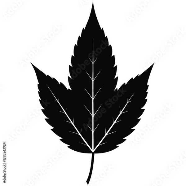Fototapeta Neem Leaf Silhouette Vector - Minimalist Nature Design