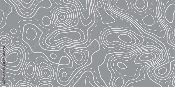 Fototapeta Abstract Journey Through Elevation and Space: Fluid Geometric Lines Forming a Luxurious Topographic Pattern on a Black Background, Bridging Technology and Timeless Design"

