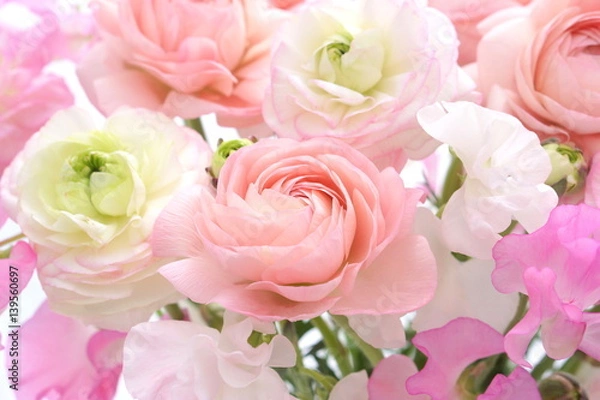 Obraz ラナンキュラスとスイートピー