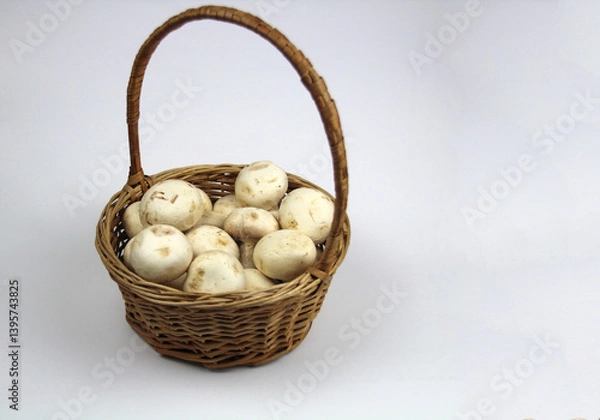 Fototapeta On a white background, there are collected mushrooms in a basket