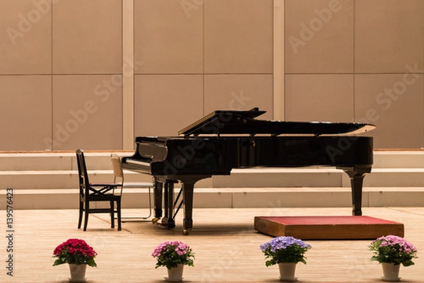 Obraz コーラスの開演を待つピアノ