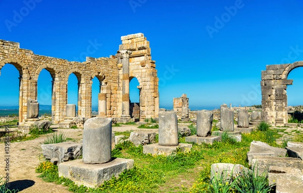 Fototapeta Ruins of a roman basilica at Volubilis, Morocco