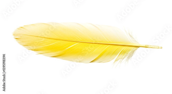 Fototapeta A single yellow feather isolated against a black background in a horizontal composition shot