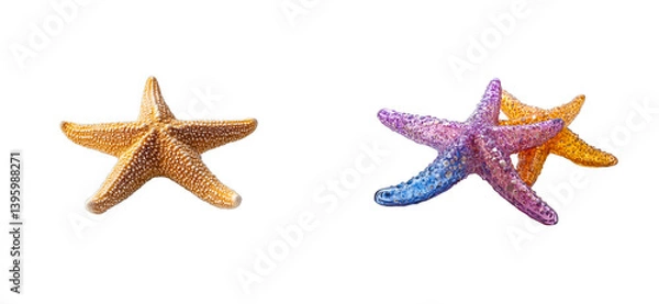 Fototapeta Starfish set against isolated background, vibrant sea life, cut out transparent
