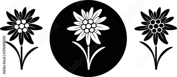 Obraz Edelweiss logo. Isolated edelweiss on white background
