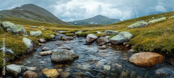 Fototapeta A small stream running through a rocky mountain landscape