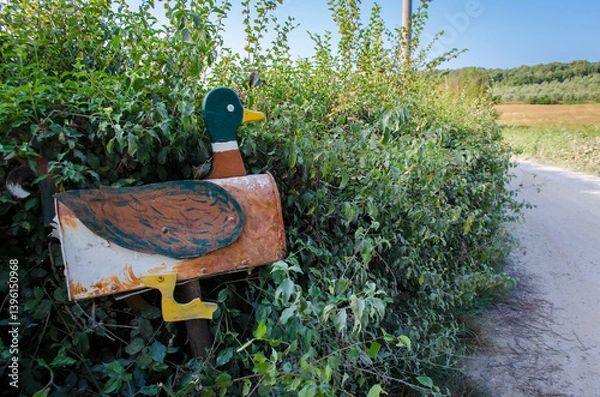 Fototapeta Primo piano di una cassetta per le lettere a forma di anatra lungo una strada di campagna