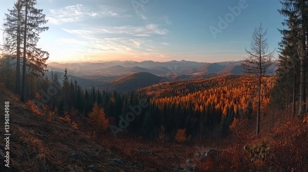 Obraz Panoramic view of forested mountains at sunset with golden light illuminating the autumn trees
