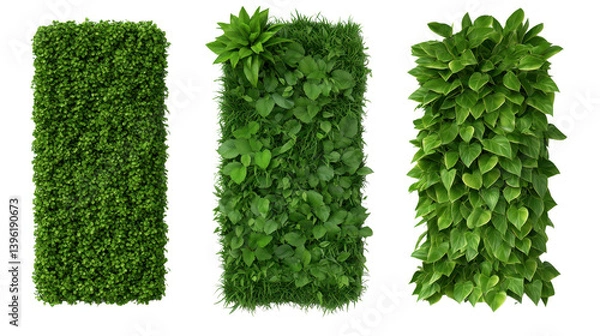 Obraz A lush variety of green plants displaying different shapes, sizes, and textures in a natural outdoor environment, isolated a transparent background.