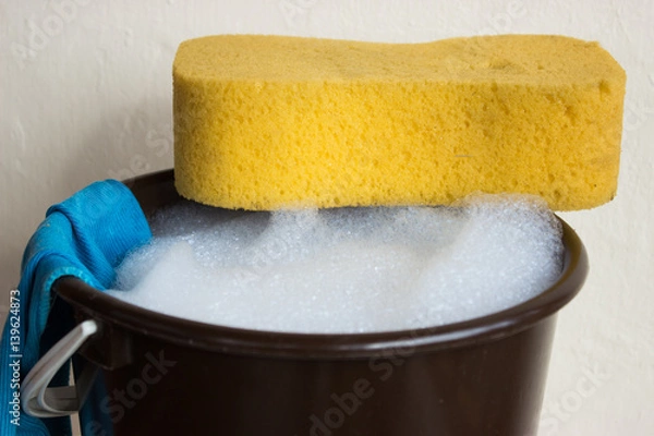 Fototapeta Spring cleaning