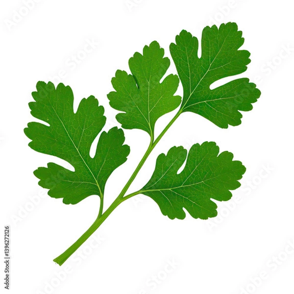 Fototapeta Coriander Leaves Isolated On Transparent Background, Generative AI