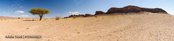 Fototapeta Panorama of a tree and mountains, Sahara, Morocco